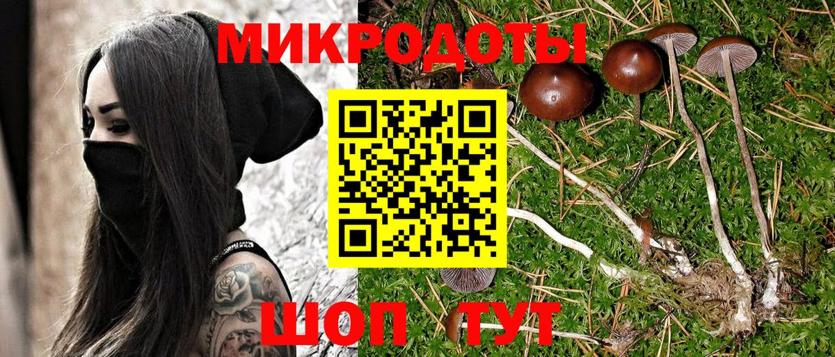 Псилоцибиновые грибы Psilocybine cubensis  Вход с VPN  наркотики  Вольск 